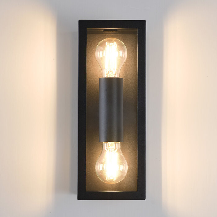 RVS zwarte wandlamp Diana 2-lichts met glas