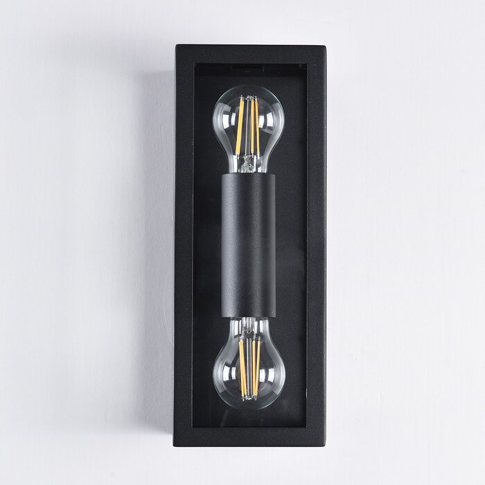 RVS zwarte wandlamp Diana 2-lichts met glas