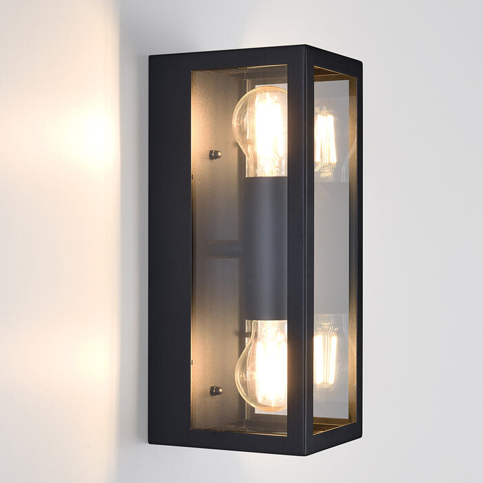 RVS zwarte wandlamp Diana 2-lichts met glas