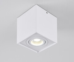 Design spot CARL - wit