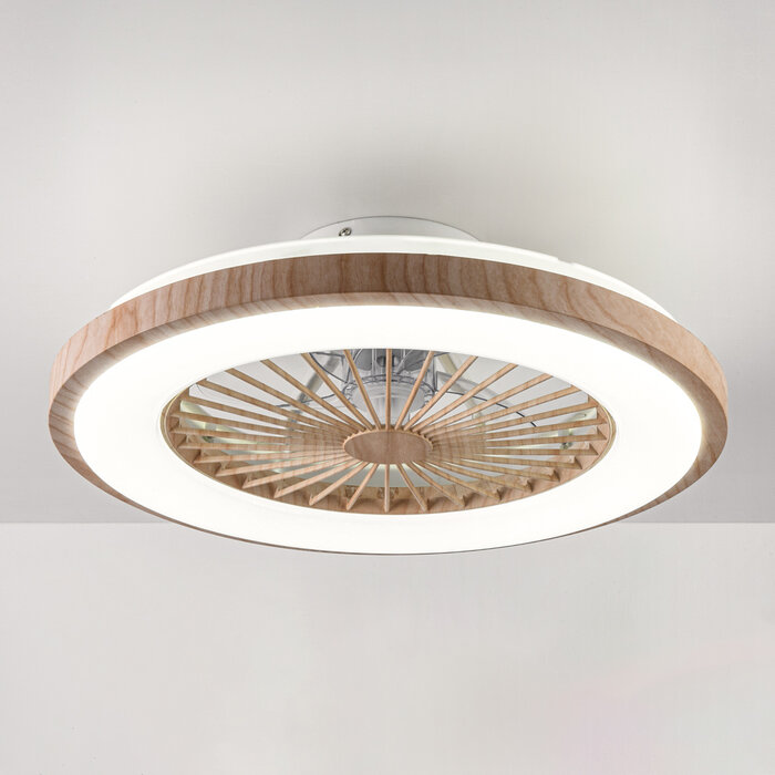 Ceiling fan Starry with adjustable color temperature and star effect
