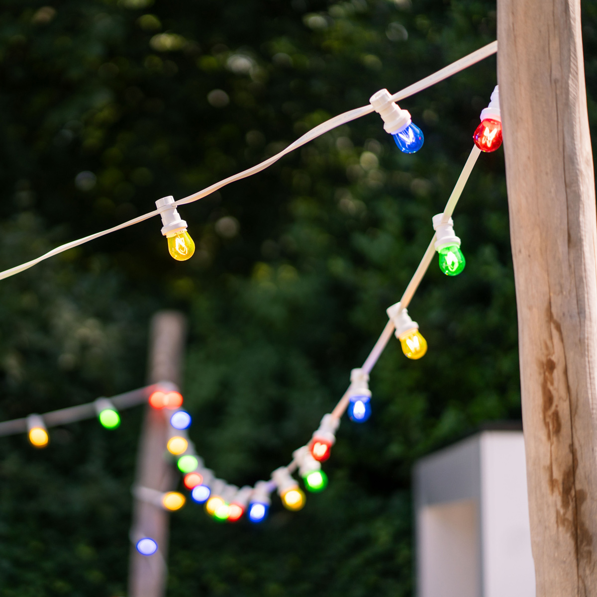 Blue filament style LED bulbs - 3,5 watt