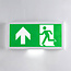 Wand opbouw noodverlichting - LX006