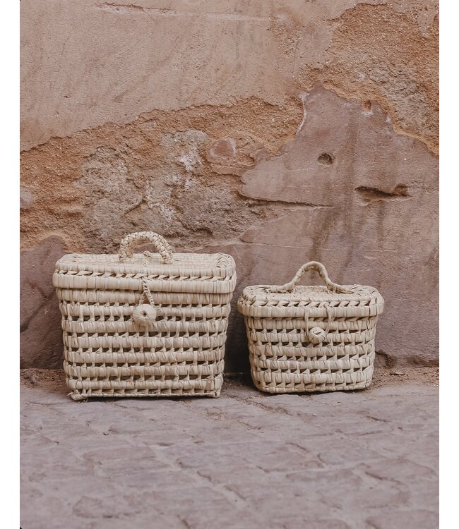 Mand palmblad met deksel | S