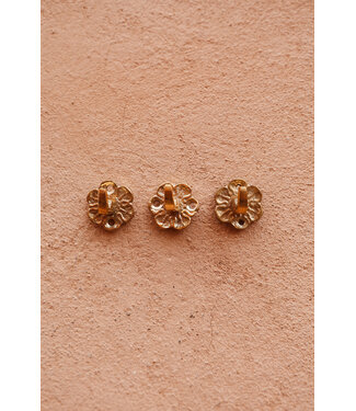 BACK SOON! Wandhaak Daisy