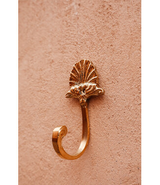 BACK SOON! Wandhaak Shell