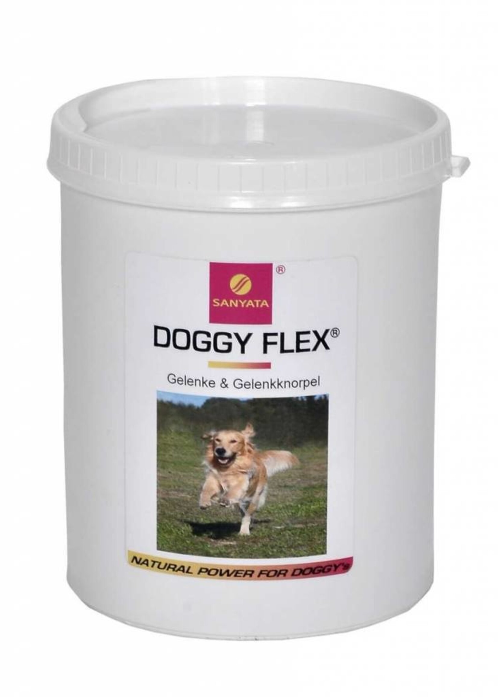 Sanyata DOGGY FLEX®