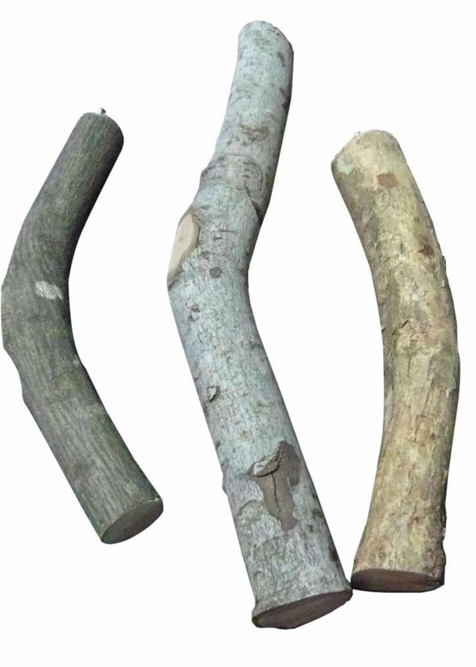 dog-point swisspet Holzsitzstange natur, L=30cm D=20mm, klein