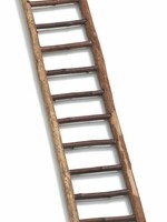 dog-point Sittichleiter, 12 Stufen, 50cm  aus Naturholz