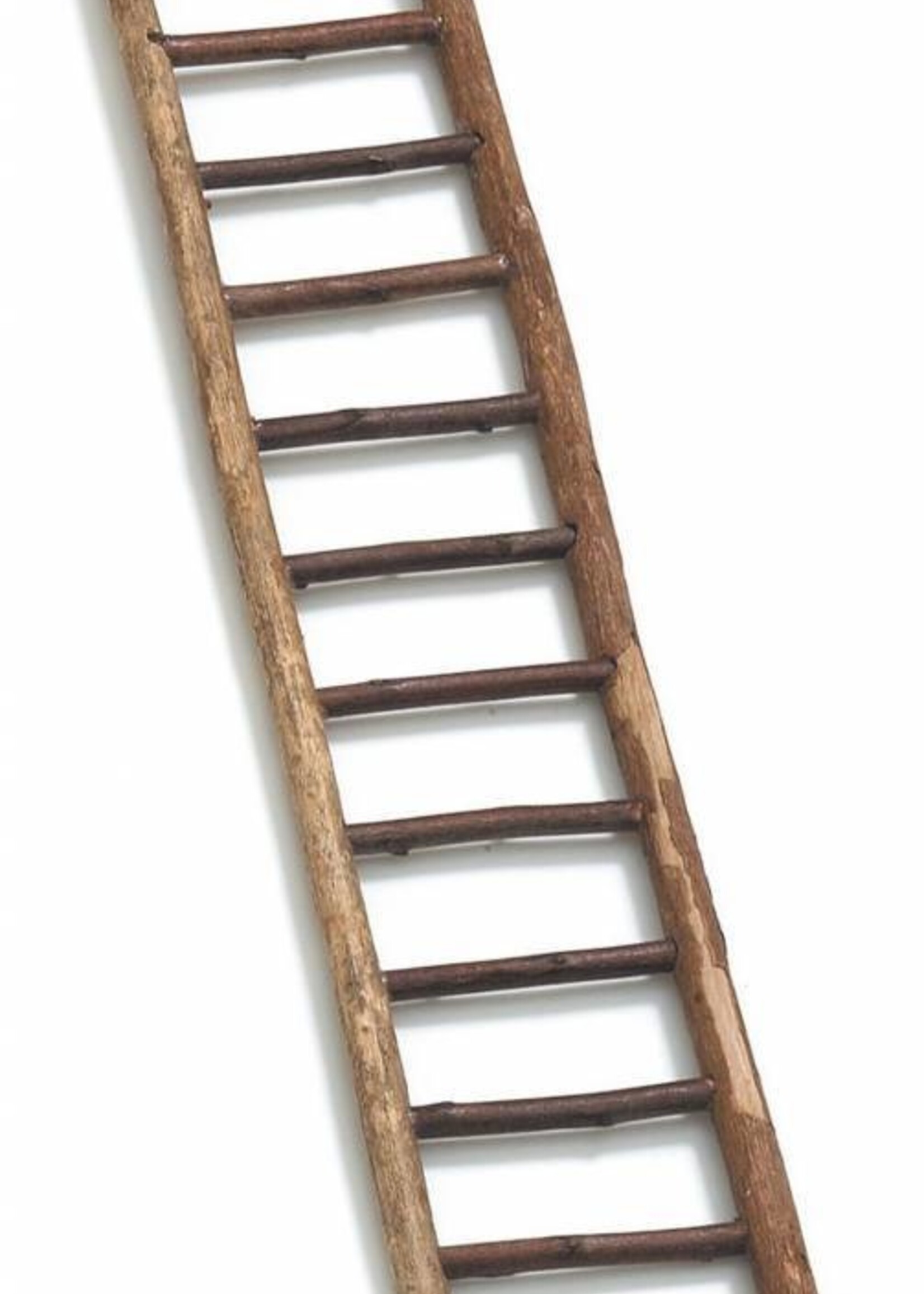 dog-point Sittichleiter, 12 Stufen, 50cm  aus Naturholz