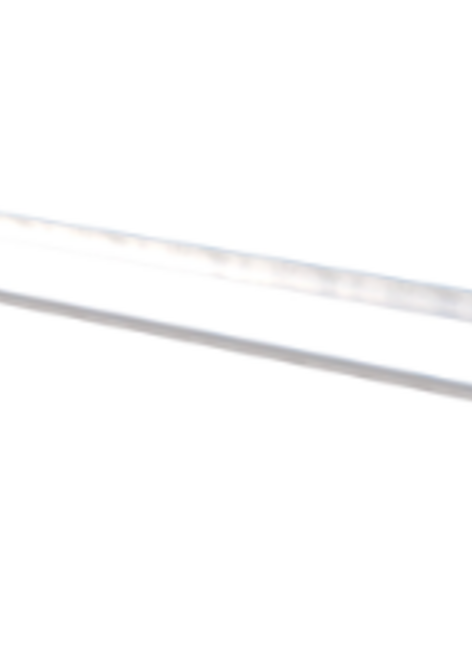 Esdec FlatFix Wave Ballast houder (1009128)