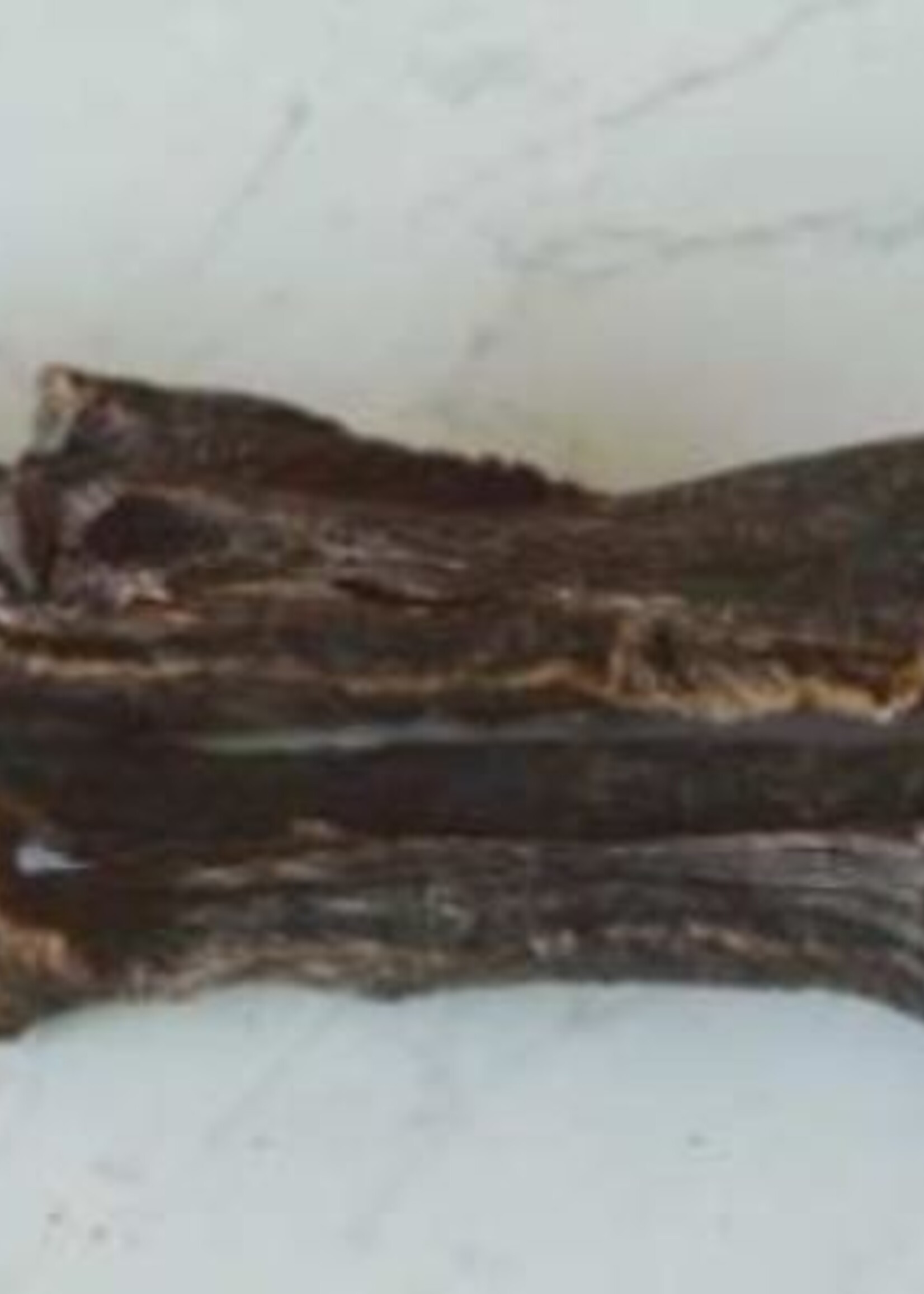 Kau-mi Rindfleisch-Streifen, gerÃ¤uchert