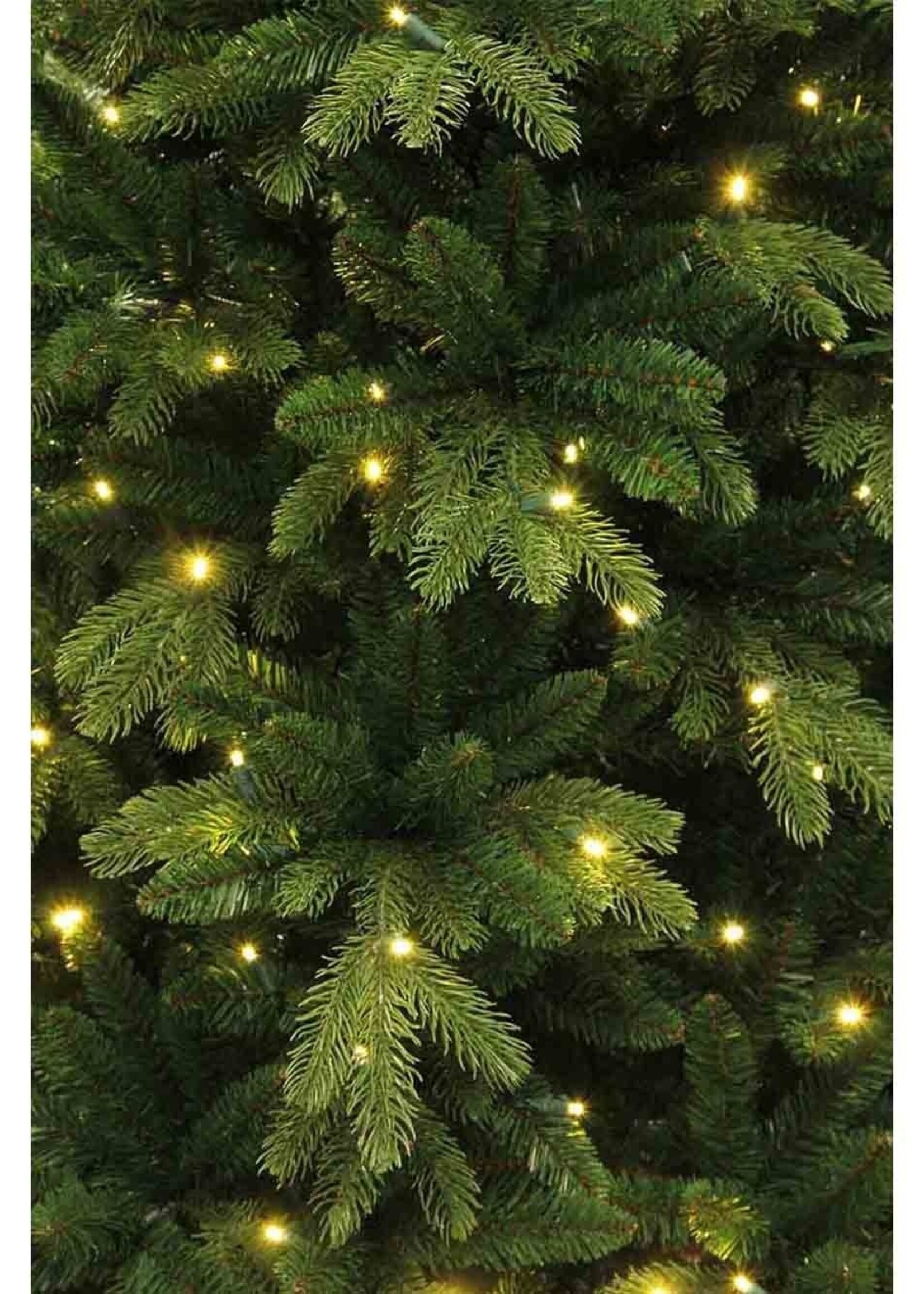 Black Box Brampton kunstkerstboom | groen met LED lampjes | 185cm