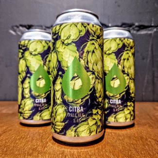 Polly's - Citra Polly's - Citra