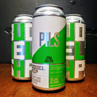 Buddelship Buddelship - PILS citra callista Buddelship Buddelship - PILS citra callista