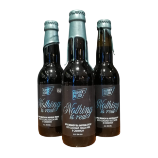 Funky Fluid Funky Fluid - Nothing is Real