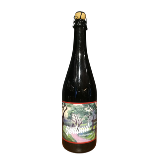 Pühaste - wild ale gertrud
