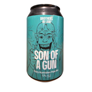 Brothers in law Brothers in law - Son of a gun