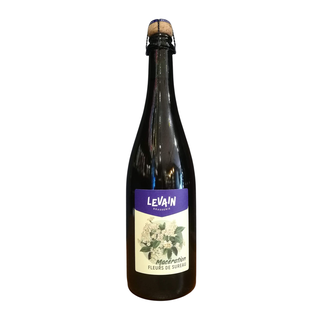 Brasserie Levain Brasserie Levain | Macération Fleurs de Sureau