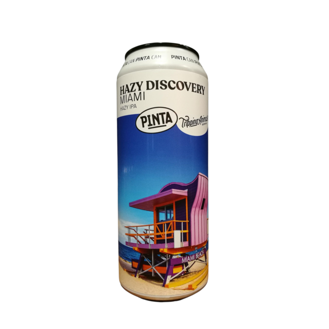 Pinta - Hazy Discovery: Miami (collab Tripping Animals)