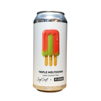 floem ZUYD  | TRIPLE MELTDOWN