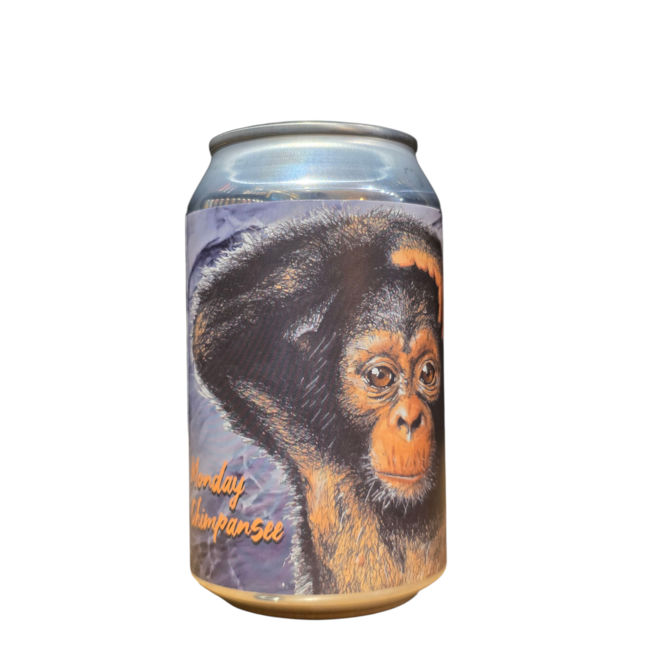 Goede kant van het Spoor - Monday chimpanzee