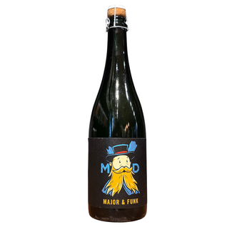 Mad Scientist Mad Scientist - Major and funk