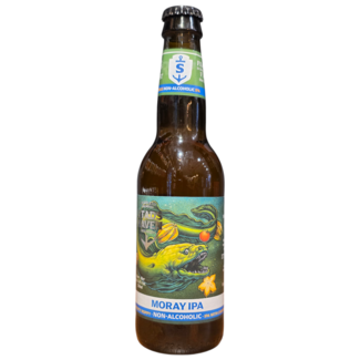 Stadshaven Stadshaven - Moray IPA Non-Alcoholic