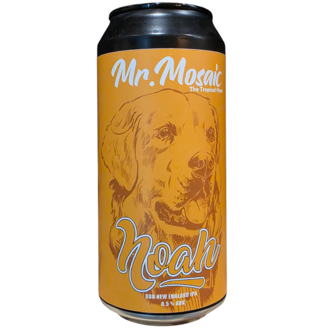 Bere Noah | Mr. Mosaic