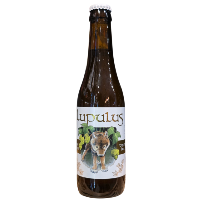 Lupulus: Blond Tripel