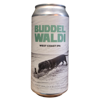 LIEBER WALDI / BUDDELSHIP - BUDDEL WALDI