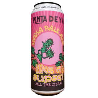 Pinta Pinta - Like A Sunset (collab Deya)