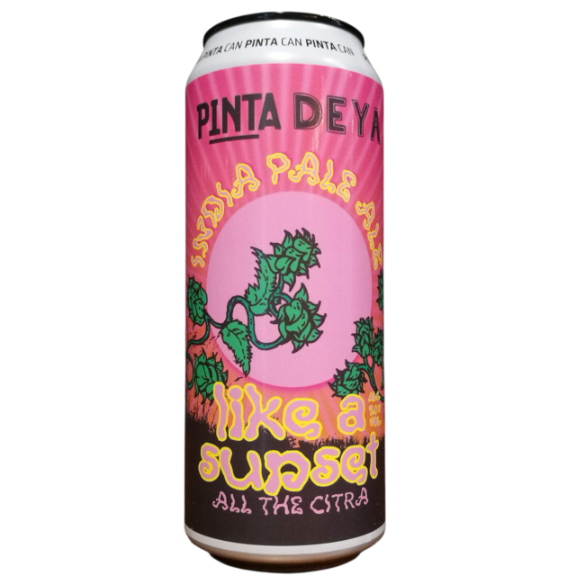 Pinta - Like A Sunset (collab Deya)