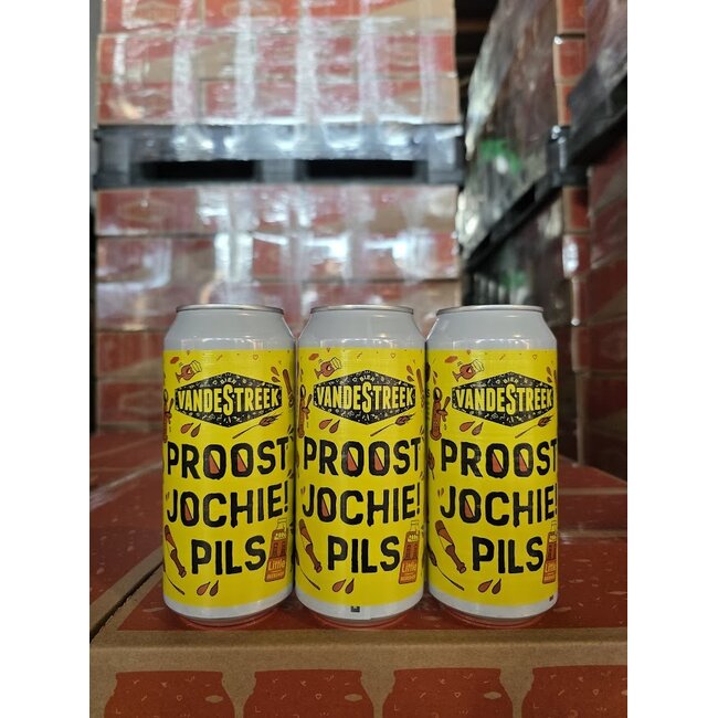 DOOS PROOST JOCHIE PILS - Little Beershop ism Vandestreek (12 stuks)