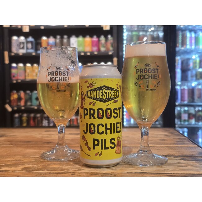 DOOS PROOST JOCHIE PILS - Little Beershop ism Vandestreek (12 stuks)