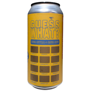 Atelier Vrai Atelier Vrai - Guess What? Citra + ?