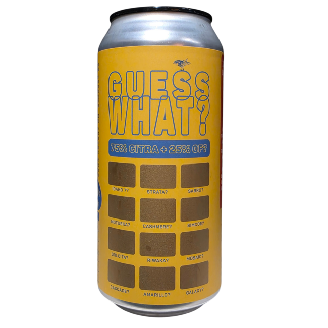 Atelier Vrai - Guess What? Citra + ?