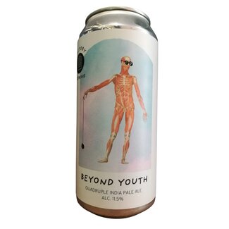 Factory - Beyond youth