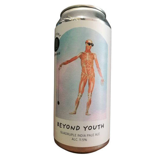 Factory - Beyond youth
