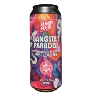 Funky Fluid Funky Fluid - Gangsta's Paradise