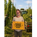 Fresh Hop bierbox (8 bier)