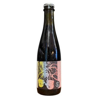 Brasserie du Bas-Canada - Connexion (2026)