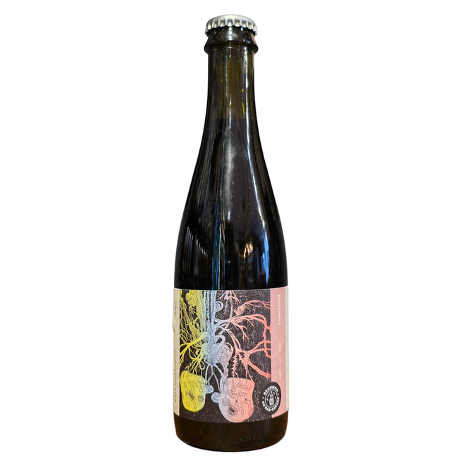 Brasserie du Bas-Canada - Connexion (2026)