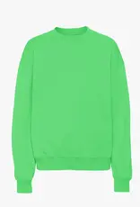 Colorful Standard Sweater 'Organic Oversized Crew' - Spring Green - Colorful Standard