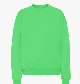 Colorful Standard Sweater 'Organic Oversized Crew' - Spring Green - Colorful Standard