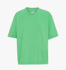 Colorful Standard T-Shirt 'Oversized Organic Tee' - Spring Green - Colorful Standard