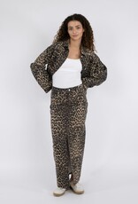 Rok 'Frankie' - Leopard - Neo Noir