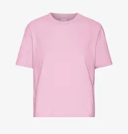 Colorful Standard T-Shirt 'Organic Boxy Crop Tee' - Flamingo Pink - Colorful Standard