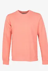 Colorful Standard Sweater 'Classic Organic Crew' - Bright Coral - Colorful Standard