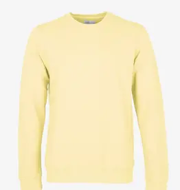 Colorful Standard Sweater 'Classic Organic Crew' - Soft Yellow - Colorful Standard